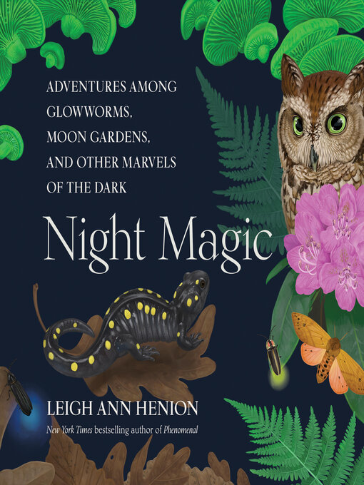 Title details for Night Magic by Leigh Ann Henion - Available